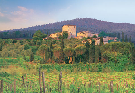 Stigliano, Tuscany, Italy